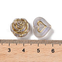Perles en acrylique transparente&nbsp;MACR-L005-05L