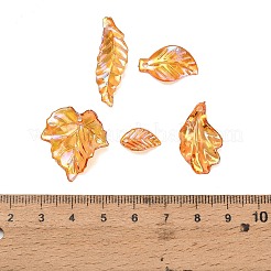 Transparenten Acryl-Anhänger&nbsp;AC-CBAE38D-02C