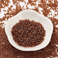 Perles de rocaille en verre&nbsp;SEED-S042-18B-01