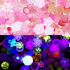 30 g leuchtende Decoden-Cabochons aus Harz&nbsp;RESI-TA0003-32A