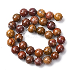 Brins de perles d'agate alashan naturelles&nbsp;G-H343-D05-12mm-B