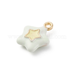 Charms del esmalte de la aleación&nbsp;ENAM-E362-08E