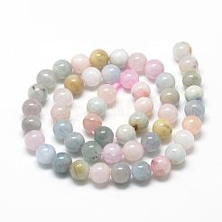 Naturperlen Stränge morganite&nbsp;G-R446-8mm-06