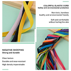 Cordon plat en élastique&nbsp;EC-BC0001-18