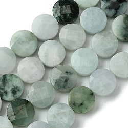 Brins de perles de jadéite du myanmar naturel, facette, plat rond, 15.5x6~6.5mm, Trou: 1mm, Environ 26 pcs/chapelet, 15.63'' (39.7 cm)