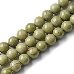 Brins de perles d'agate alashan naturelles, teinte, ronde, 8~8.5mm, Trou: 1.2mm, Environ 46 pcs/chapelet, 14.88'' (37.8 cm)