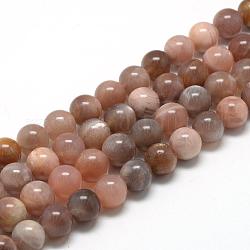 Chapelets de perles de sunstone naturelle naturelles, ronde, 4mm, Trou: 1mm, Environ 84~90 pcs/chapelet, 15.1 pouce