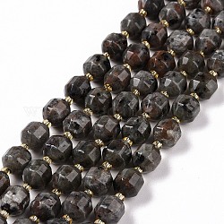 Natural Fluorescent Syenite Rock(Glow under UV Light) Beads Strands, with Seed Beads, Faceted Bicone Barrel Drum, 9.5x8.5mm, Hole: 1.2mm, about 31pcs/strand, 14.17 inch(36cm)