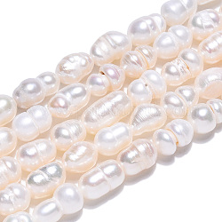 Natural Cultured Freshwater Pearl Beads Strands, Baroque Keshi Pearl Rice Beads, Seashell Color, 5~10.5x4~6.5mm, Hole: 0.6mm, about 28~29pcs/strand, 7.09~7.36 inch(18~18.7cm)