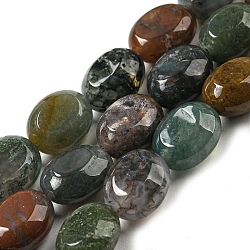 Chapelets de perles en agate indienne naturelle, Ovale Plat, 10x8x5.5mm, Trou: 0.8mm, Environ 39 pcs/chapelet, 15.47'' (39.3 cm)