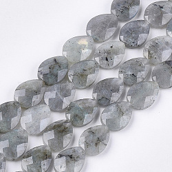 Chapelets de perles en labradorite naturelle , facette, larme, 18x13~13.5x5.5~6mm, Trou: 1.2mm, Environ 11 pcs/chapelet, 7.8 pouce