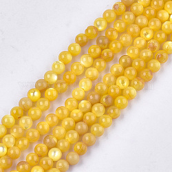Perles de coquillage jaune brins, teinte, ronde, orange, 4mm, Trou: 0.8mm, Environ 101 pcs/chapelet, 15.7 pouce
