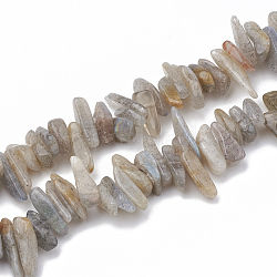 Natural Labradorite Beads Strands, Chip, 10~30x4~10x1~7mm, Hole: 1mm, about 80~85pcs/strand, 15.55 inch