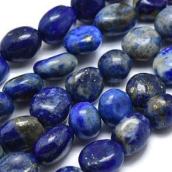 Chapelets de perles en lapis-lazuli naturel, pierre roulée, pépites, 10~11x7~8x5~6mm, Trou: 0.8mm, Environ 37 pcs/chapelet, 15.75 pouce (40 cm)