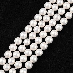 Shell Perlenstränge, Nachahmung Perle, Klasse A, Runde, weiß, 6 mm, Bohrung: 0.5 mm, 63~64 Stk. / Strang, 15 Zoll