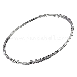 BENECREAT 1mm/18 Gauge Titanium Steel Wire, 65.6 Feet(20m) Round Welding Wire for Jewellery Making and Crafting