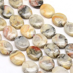 Oval Natural Picture Jasper Beads Strands, 16~18x13x5mm, Hole: 1mm, about 23pcs/strand, 16.5 inch