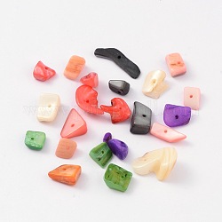 Natural Shell Beads, Dyed, Mixed Color, about 9-19mm long, 7-15mm wide, 2.5-7mm thick, about 500pcs/500g