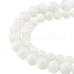 Chgcraft 2 brins 2 brins de perles de coquillage en spirale naturelles de style, ronde, blanc crème, 1 brin/style