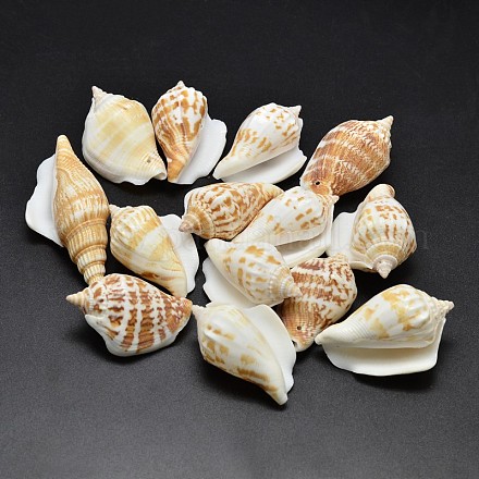 Natural Conch Shell Beads BSHE-O007-57-1