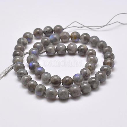Chapelets de perles en labradorite naturelle  G-D864-11-8mm-1