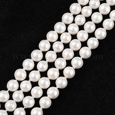 Chapelets de perles en coquille X-BSHE-R146-6mm-02-1