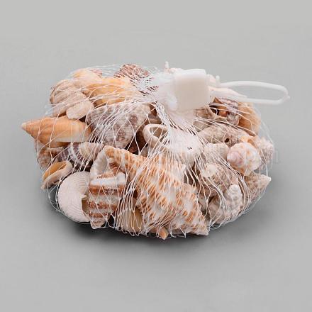 Sea Shell Beads SSHEL-Q300-015-1