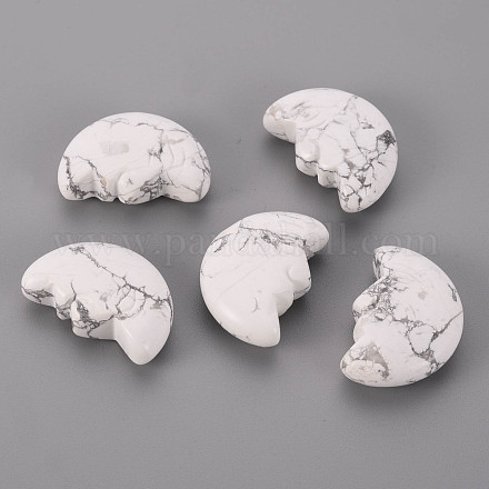 Natural Howlite Beads G-T132-028-1