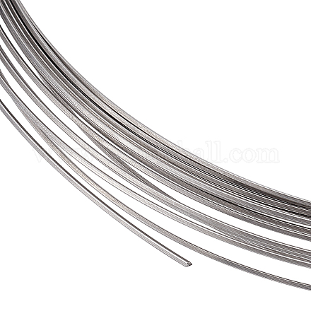 BENECREAT 20 Gauge 316 Stainless Steel Wire Metal Process Line About 32.81 Feet Bendable Stainless Steel Wire Image Line Metal Wire for Handicraft and Jewelry Production TWIR-WH0008-01A-P-1
