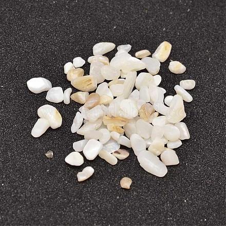 Natural White Mother of Pearl Shell Chip Beads BSHE-L010-04-1