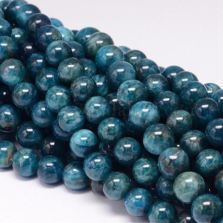 Natural Apatite Beads Strands G-P132-04-10mm-1