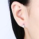 Exquisite 925 Sterling Silver Cubic Zirconia Stud Earrings EJEW-BB20048-2