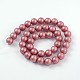 Round Shell Pearl Bead Strands BSHE-J011-6mm-M-2
