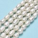 Natural Cultured Freshwater Pearl Beads Strands PEAR-J006-16A-2