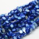 Dyed Natural Freshwater Shell Beads Strands SHEL-J003-M-2