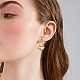 SHEGRACE Cute Pig Brass Hoop Earrings JE863A-4