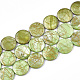 Chapelets de perles en coquille d'eau douce  X-SHEL-S274-62D-2