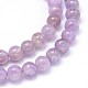 Natural Amethyst Beads Strands G-P433-23A-3