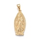 304 Stainless Steel Lady of Guadalupe Pendants STAS-F252-04G-1