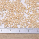 Perles miyuki delica SEED-J020-DB0205-4