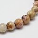 Chapelets de perles en pierre de chrysanthème naturel G-I131-22-6mm-3