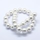 Chapelets de perles de coquille BSHE-K053-02-18mm-2