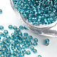 Silver Lined Glass Seed Beads SEED-Q025-1.5mm-C10-1