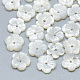 Natürlichen weißen Muschelperlen SSHEL-S260-010-1