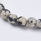 Natur Dalmatiner Jaspis Perlen Stränge G-G515-4mm-06-3