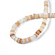 Eau douce naturelle de coquillage perles brins SHEL-S278-067G-4
