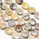 Oval Natural Picture Jasper Beads Strands G-P063-129-1