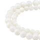 Chgcraft 2 brins 2 brins de perles de coquillage en spirale naturelles de style SSHEL-CA0001-02-1