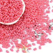 Выпечка краска стеклянные бусины SEED-L011-09A-16