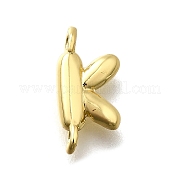 Подвески из латуни KK-P295-01G-K